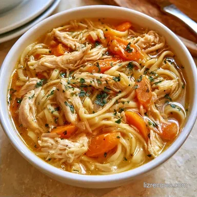 Slow Cooker Chicken Noodle Soup for 8